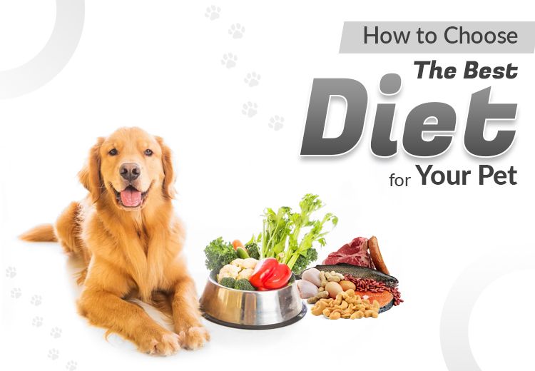Understanding Pet Nutrition: Choosing the Best Diet for Your Dog or Cat
